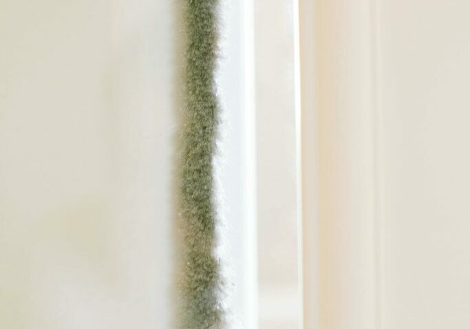 pexels-lamiko-3616758